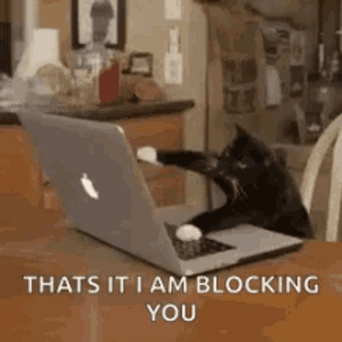 Typing Cat Thats It Blocking You GIF