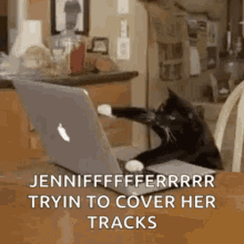 Typing Cat Trying To Cover Her Tracks GIF