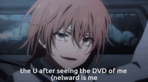 U After Seeing the DVD of Me (Nelward Is Me
