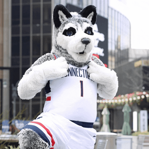 Uconn Husky Flexing Jersey GIF