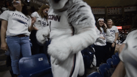 Uconn Husky Mascot Taunt GIF