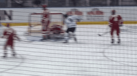 Uconn Ice Hockey Celebration GIF