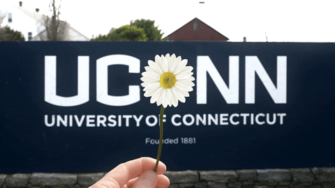 Uconn Spinning Daisy GIF