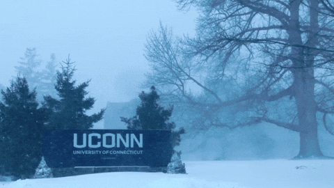 Uconn Winter Weather GIF