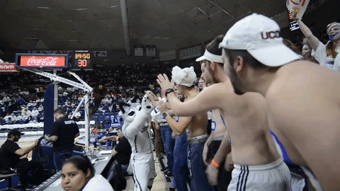 Uconn Wolf Mascot GIF