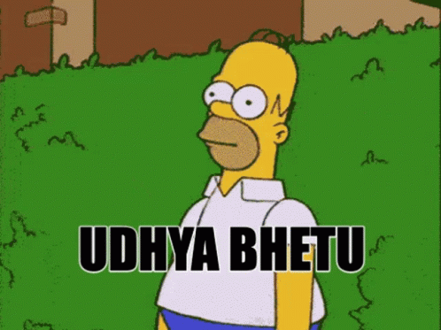 Udhya Bhetu Homer Doh GIF