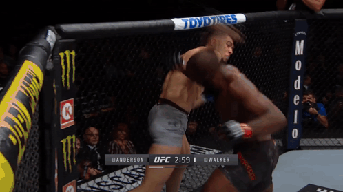 UFC Fight Anderson Vs Walker GIF