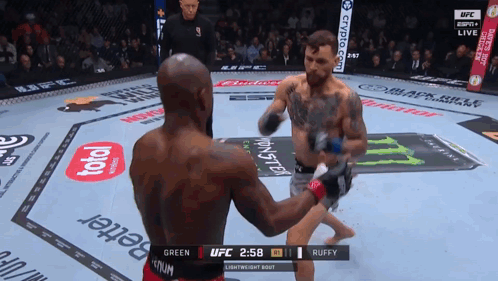 UFC Fight Between Green And Ruffy GIF