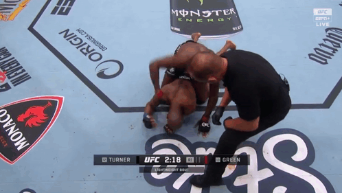 UFC Fight Between Green And Turner GIF