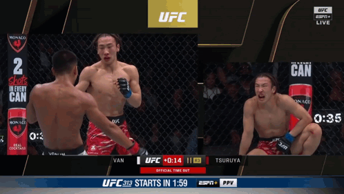 UFC Fight Broadcast on ESPN