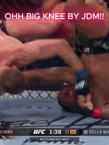 UFC Fight Burns Vs Della Maia GIF