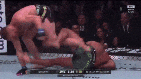 UFC Fight Burns Vs Della Maqualena GIF
