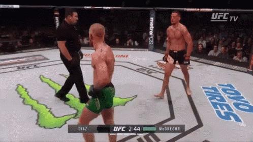 UFC Fight Diaz vs McGregor