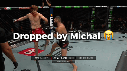 UFC Fight Dropped by Michal