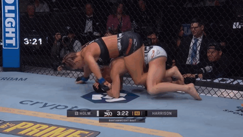 UFC Fight Holm vs Harrison 3:22 Left