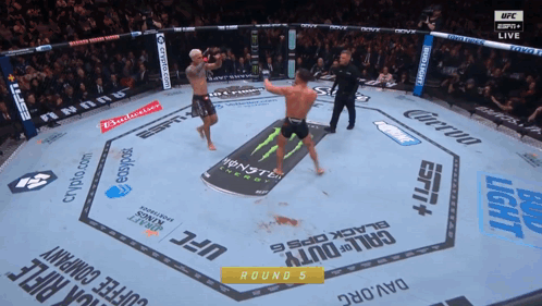 UFC Fight in Boxing Ring Sponsored by Budweiser