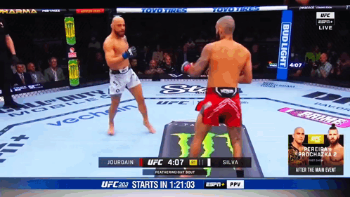 UFC Fight Jourdain vs Silva