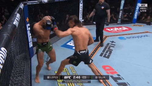UFC Fight Lopes vs Silva in Cage