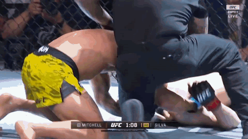 UFC Fight Mitchell vs Silva