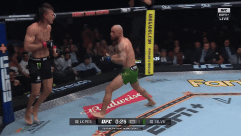 UFC Fight on ESPN