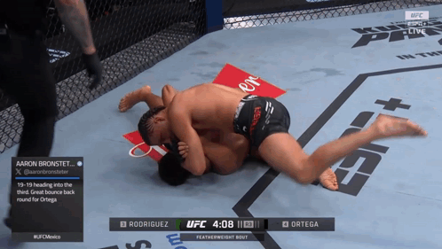 UFC Fight Rodriguez vs Ortega