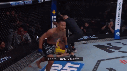 UFC Fight Silva vs Van