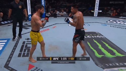 UFC Fight Silva vs Van
