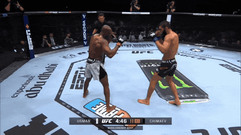 UFC Fight Usman Vs Chimaev GIF
