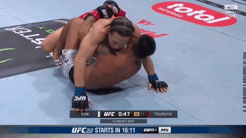 UFC Fight Van vs Tsuruya