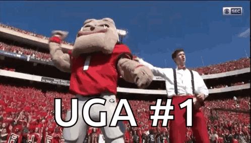 Uga Mascot Hairy Dawg And Man Circling Hand GIF