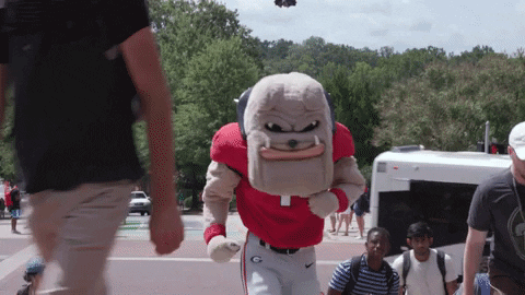 Uga Mascot Hairy Dawg Doing Jumping Jacks GIF