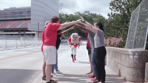 Uga Mascot Hairy Dawg Passing Between People GIF