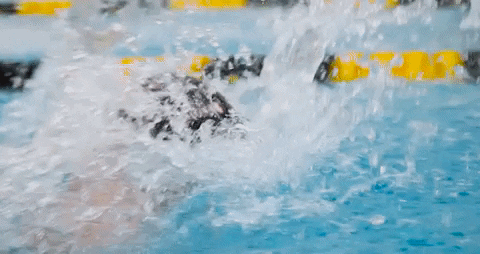 Uga Swimmer Doing Butterfly Stroke In Water GIF