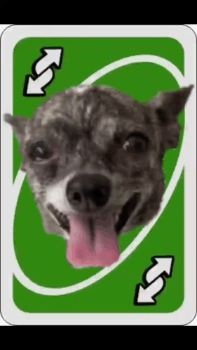Ugly Dog Uno Reverse Card GIF