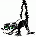 Ugly Winking Skunk GIF
