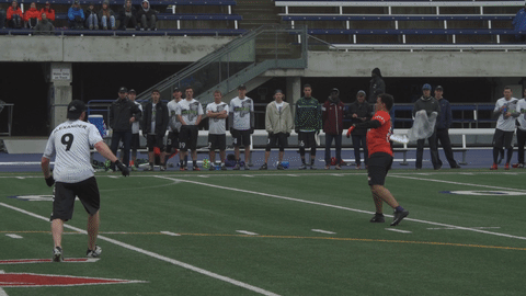 Ultimate Frisbee Cool Dive GIF