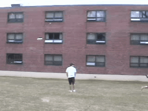 Ultimate Frisbee Dive GIF