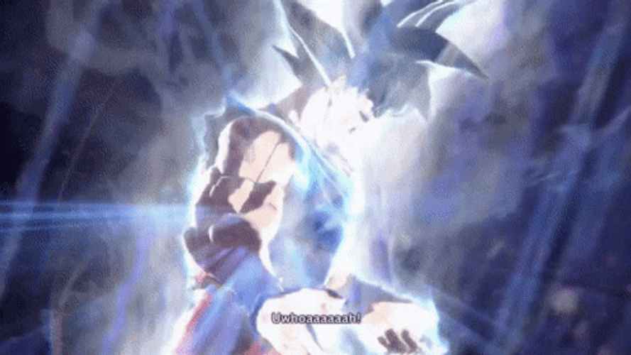 Ultra Instinct Goku GIF