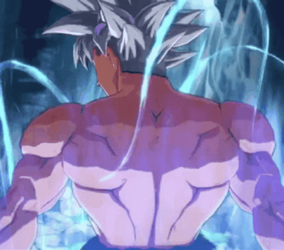 Ultra Instinct Goku Back Powerful Pose GIF