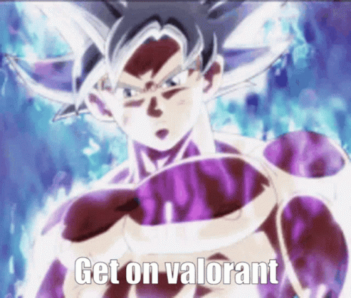 Ultra Instinct Goku Get On Valorant GIF