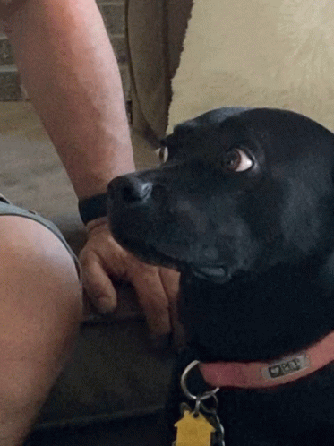 Umm 373 X 498 Gif GIF