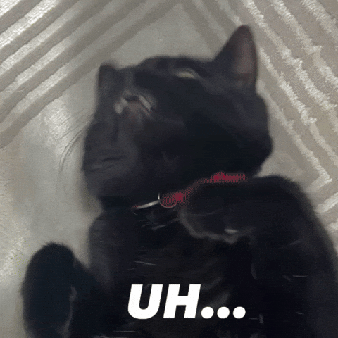 Umm Ok Black Cat GIF
