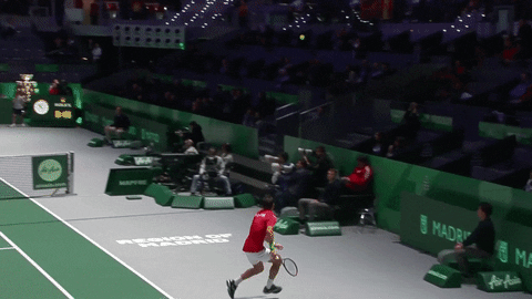 Umpire Dodges Croatia Player GIF