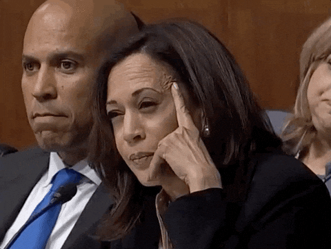 Unbothered Kamala Harris Staring Seriously GIF