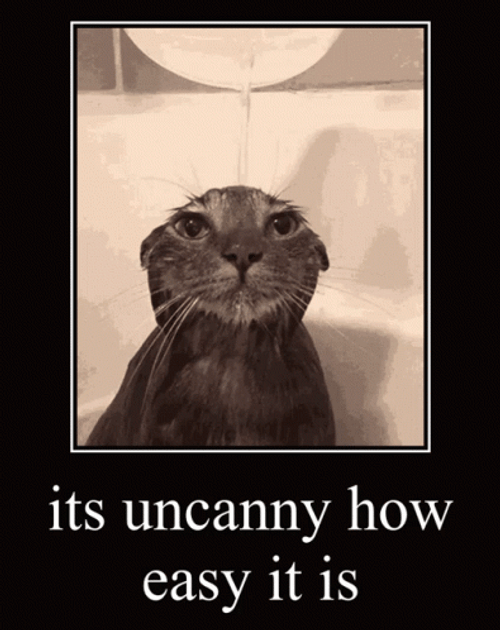 Uncanny Easy Cat Showering GIF