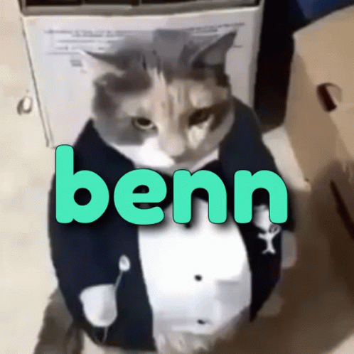 Uncle Ben Angry Cat In Suit GIF