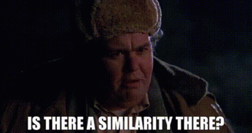Uncle Buck Is There A Similarity There GIF