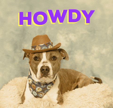Uncle Howdy Cool Dog GIF