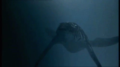 Under Water Sea Monster Mosasaurus GIF