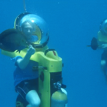 Undersea Adventures Fish Meme GIF